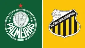 مشاهدة مباراة بالميراس ونوفوريزونتينو بث مباشر اليوم 4-3-2026 نهائي باوليستا