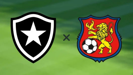 مشاهدة مباراة بوتافوجو وكاراكاس بث مباشر اليوم 9-4-2026 قمة نيلتون سانتوس الأولمبي