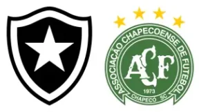 مشاهدة مباراة بوتافوجو وشابيكوينسي بث مباشر اليوم 18-4-2026 قمة أرينا كوندا