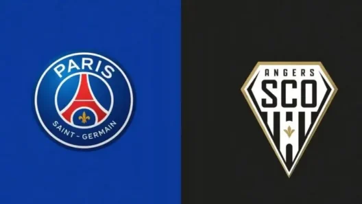 مشاهدة مباراة باريس سان جيرمان وأنجيه بث مباشر اليوم 25-4-2026 قمة ريمون كوبا
