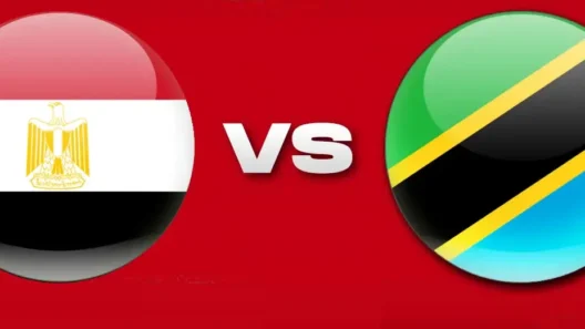 مشاهدة مباراة مصر وتنزانيا بث مباشر اليوم 28-5-2026 نصف نهائي كأس أفريقيا للناشئين