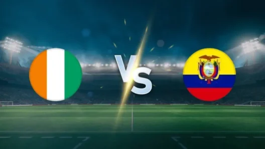 مشاهدة مباراة كوت ديفوار والإكوادور بث مباشر اليوم 14-6-2026 قمة لينكولن فاينانشال فيلد