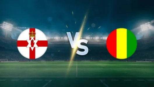 مشاهدة مباراة إيرلندا الشمالية وغينيا بث مباشر اليوم 4-6-2026 قمة ملعب بلدية لا لينيا