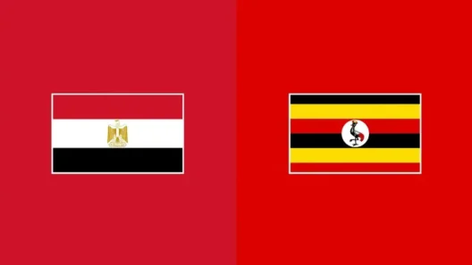 مشاهدة مباراة مصر وأوغندا بث مباشر اليوم 5-7-2026 قمة قاعة لواندا متعددة الاستخدامات