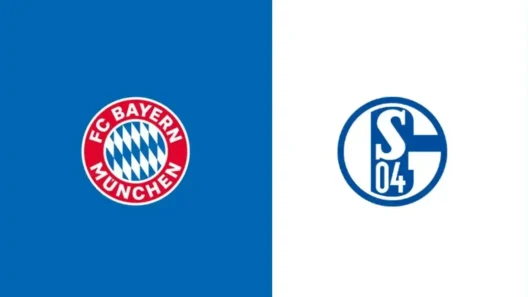 مشاهدة مباراة بايرن ميونخ وشالكه بث مباشر اليوم 5-9-2026 قمة فيلتينس أرينا